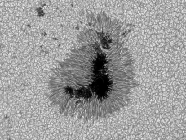 Foto de una mancha solar tomada por el Telescopio Óptico Solar (SOT) de Hinode