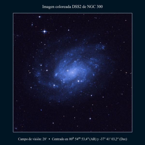 Imagen coloreada en DSS2 de la galaxia NGC 300