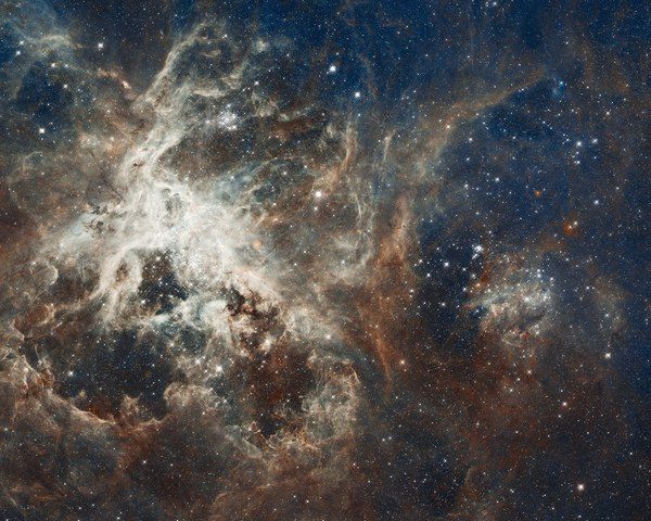 Nebulosa de la Tarántula (C103, NGC 2070)