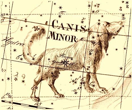 Lámina antigua de la constelación del Can Menor