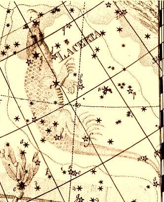 Lámina antigua de la constelación del Lagarto