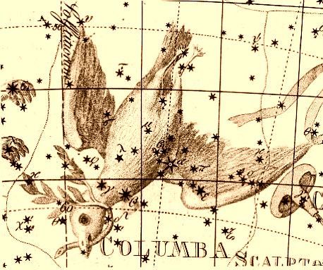 Lámina antigua de la constelación de la Paloma