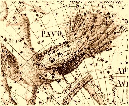 Lámina antigua de la constelación del Pavo
