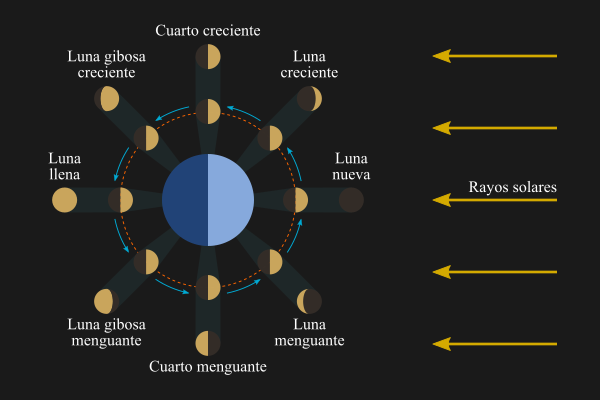Diagrama de las fases lunares
