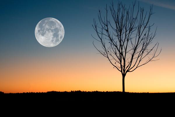 Foto de la Luna al amanecer